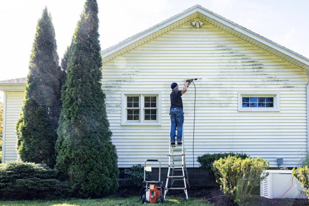 Best Pressure Washing Driveway  in Slocom, AL